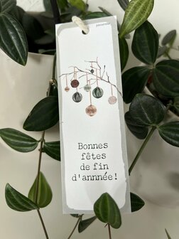 Cozy label Bonnes F&ecirc;tes