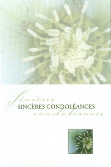 Sprankel witte bloem Sinc&egrave;res Condol&eacute;ances