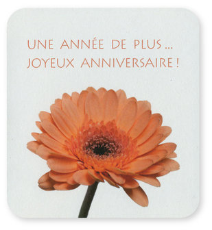 wk flor une ann&eacute;e de plus, joyeux anniversaire