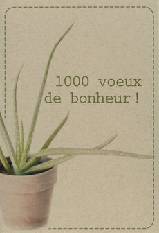 wk cactus 1000 v&oelig;ux de bonheur