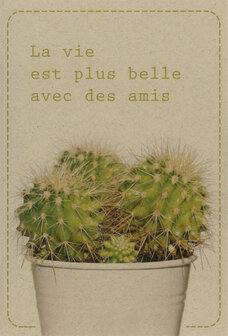 wk cactus La vie est plus belle avec des amis