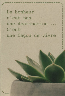 wk cactus Le bonheur n&#039;est pas 
