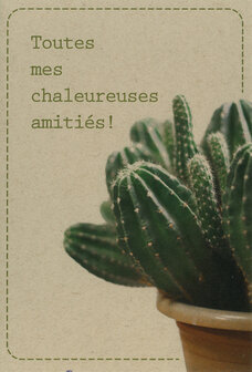 wk cactus Toutes mes chaleureux amiti&eacute;s