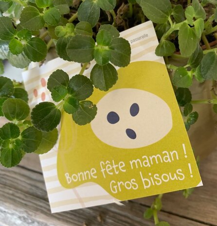 Carte Fête de mère Bonne fête maman ! Gros bisous !