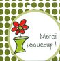 Bol-Merci-beaucoup