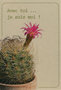 wk-cactus-avec-toi-je-suis-moi