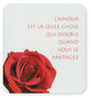 wk-flor-lamour-est-le-seule-chose
